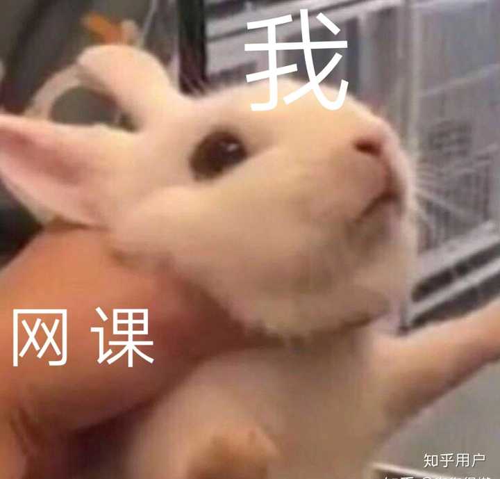 救救孩子,快开学吧