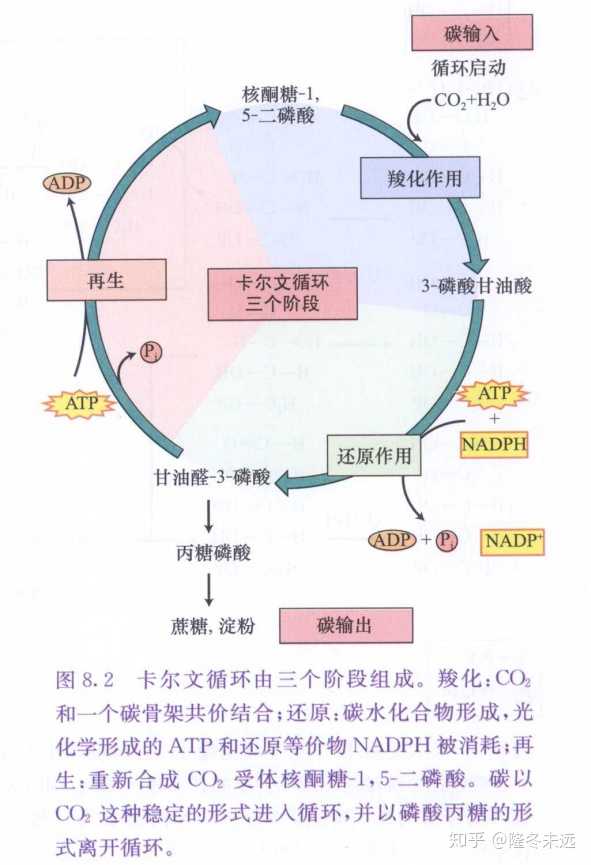 这个是简化版,怎么循环呢?