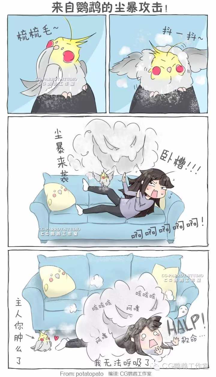 怎么从玄凤鹦鹉的表现了解他们的心情呢?