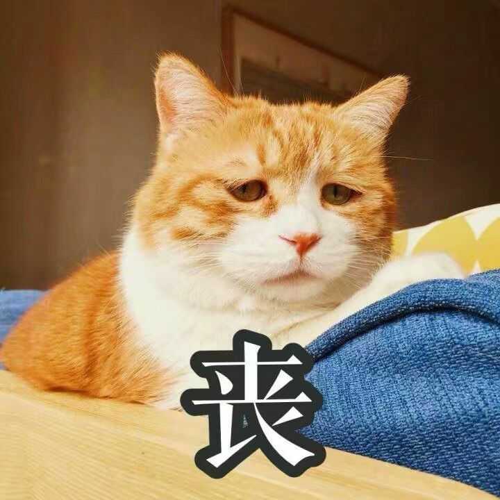 好了我承认我是渣男,所以可爱的无辜的被渣男欺骗的姑娘呢?