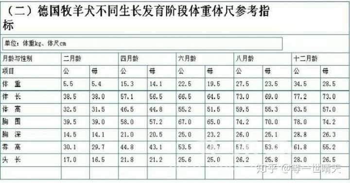 成年健康的德牧体重多少合适