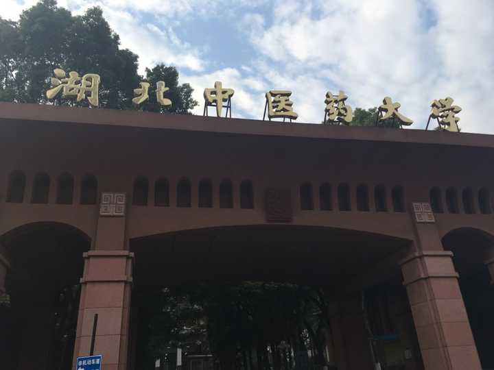 在湖北中医药大学读书是一种怎样的体验?