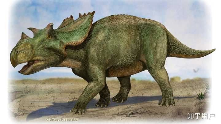 chasmosaurus belli (隙龙) utahceratops gettyi (犹他角龙) regali