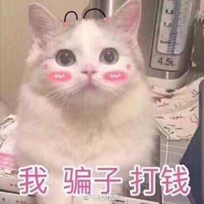 有什么适用于和老公/男票撒娇的可爱表情包?