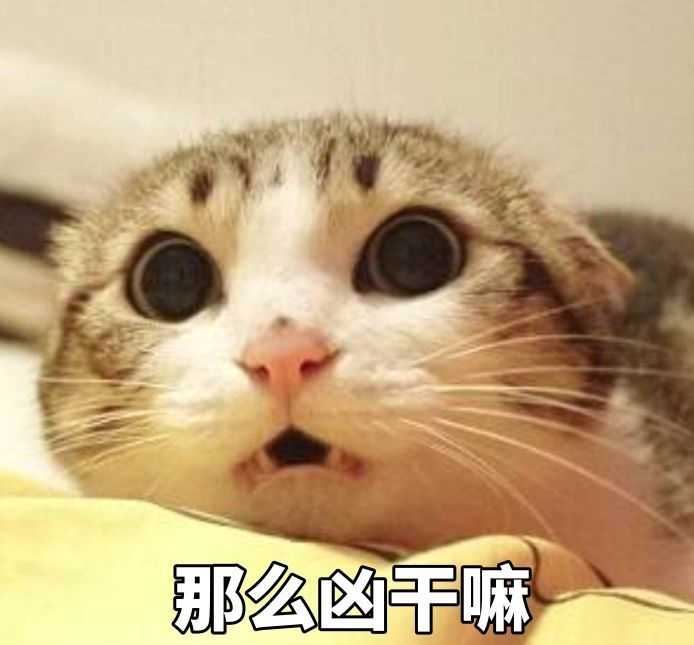 有没有很好哄女孩子的表情包?