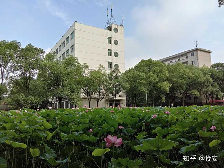 能分享一下南昌大学共青学院美照?