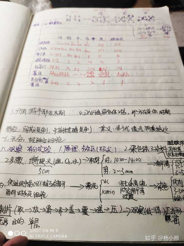 写简历自我评价怎么写_如何写简历中的自我评价_教案评价怎么写