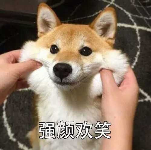 你有哪些可爱的猫咪表情包