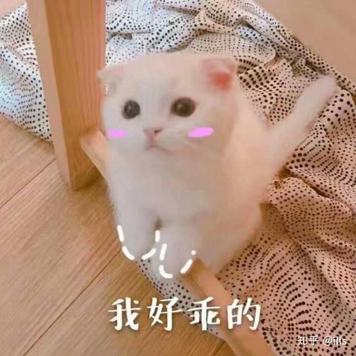 有没有可以给对象发的撒娇的表情包?