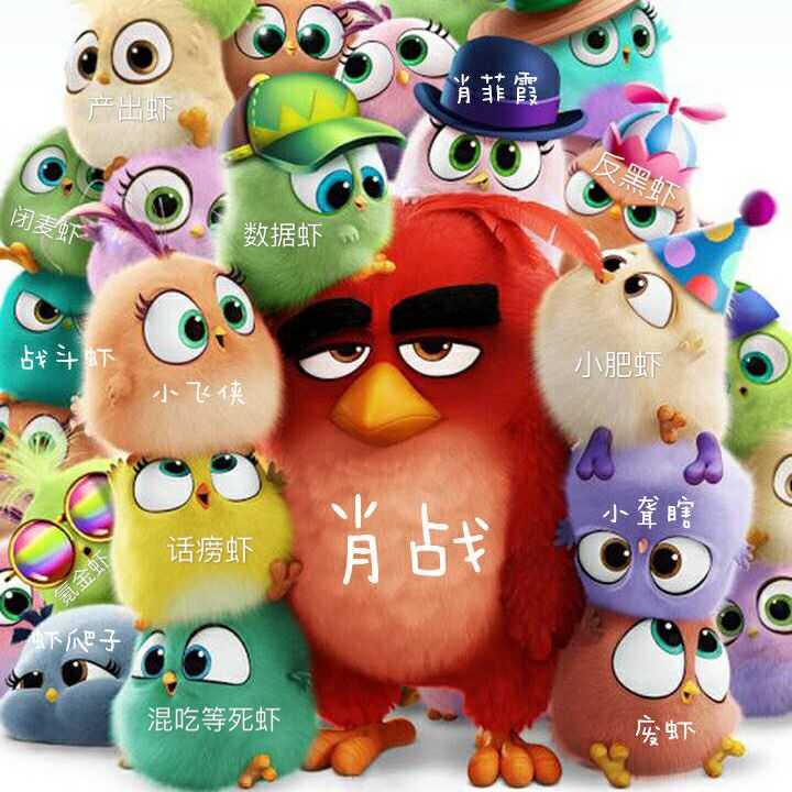 如何看待肖战的猫坚果掉毛上热搜?