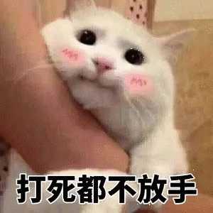 有没有能调戏男朋友的表情包?
