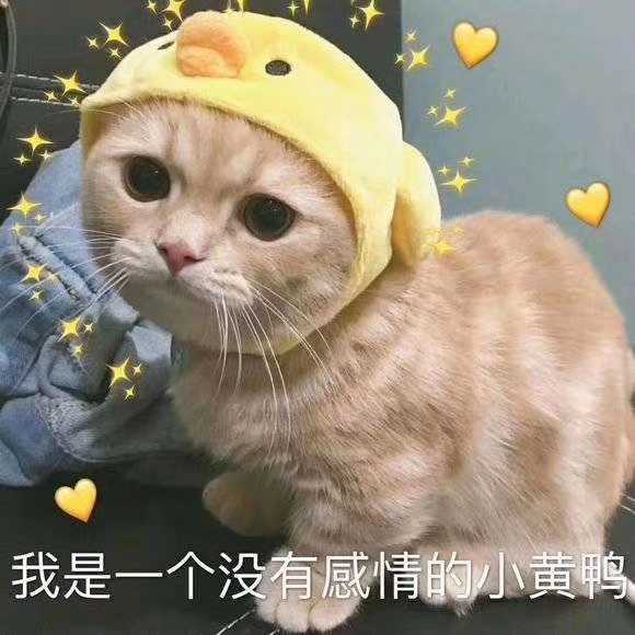 有没有用了很久舍不得换的微信头像?