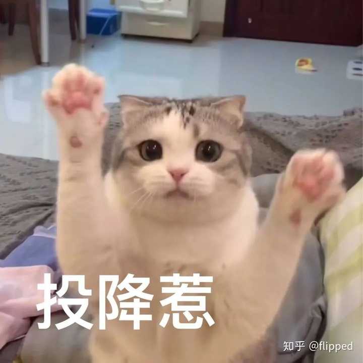 我投降呜呜