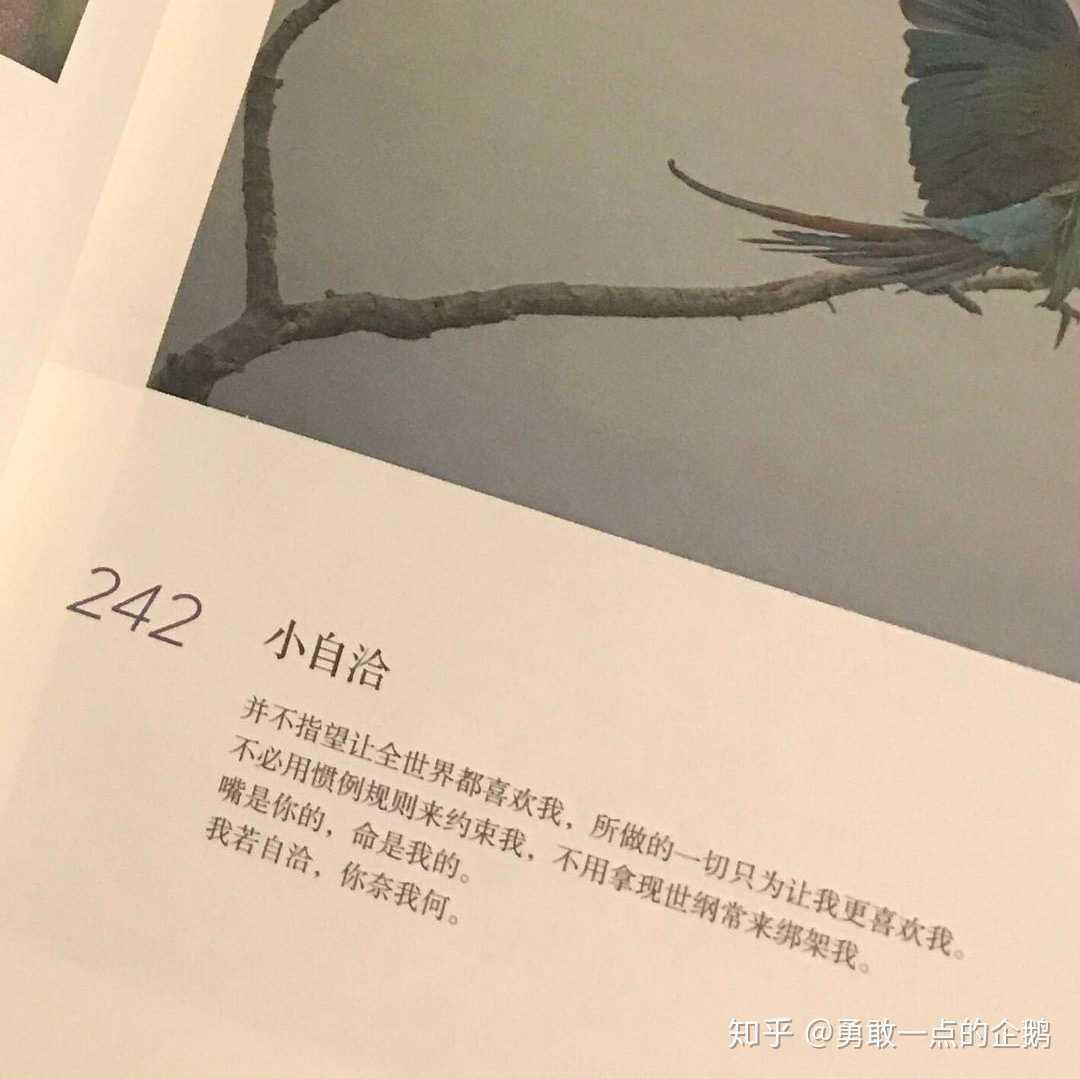 偏执的人要学会和自己和解