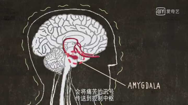 工作压力大,感觉已经处在崩溃边缘,应该怎么办?