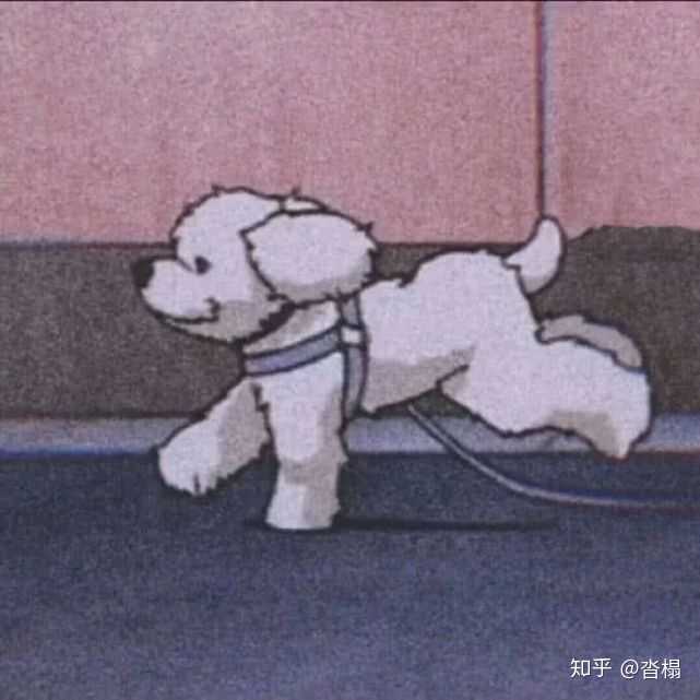 求求!关注问题 67写回答情侣app微信头像情侣头像想要人遛狗的情头!