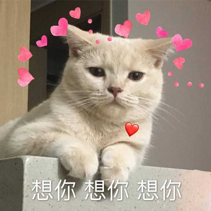 有哪些微信迷你可爱适合女孩子的表情包?