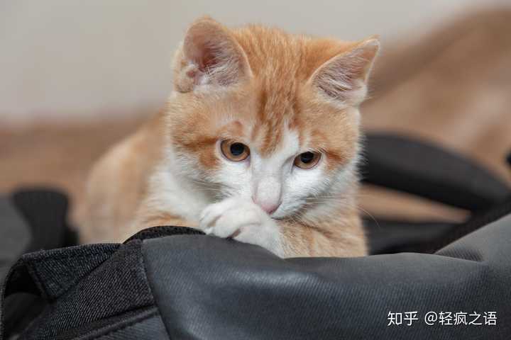 陷入沉思
