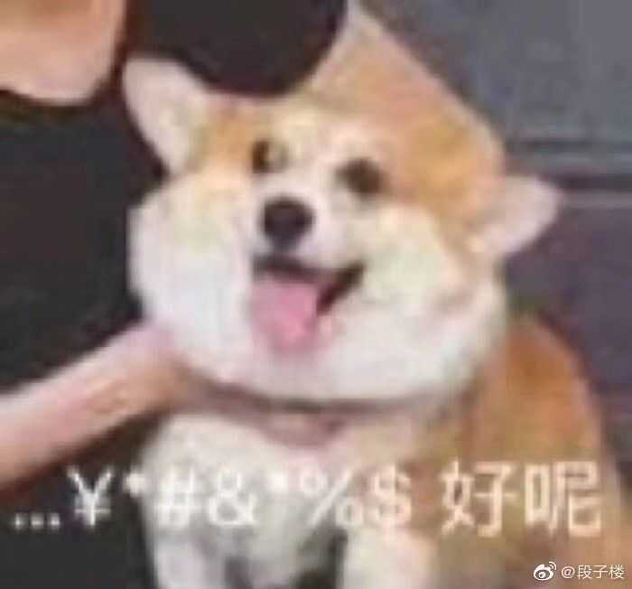 有哪些沙雕而不乏可爱的表情包(狗头)?