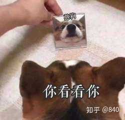 有没有什么让全场震惊的沙雕表情包?