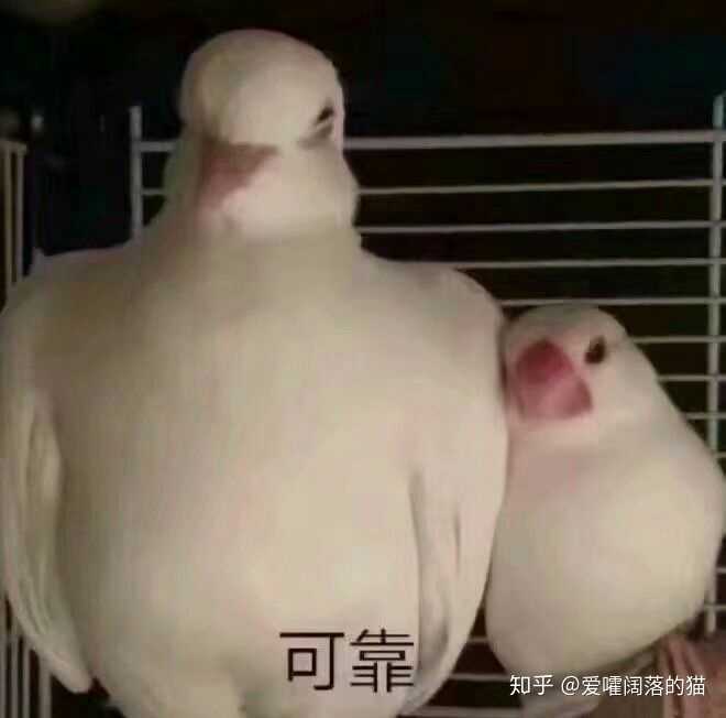 有哪些沙雕表情包?