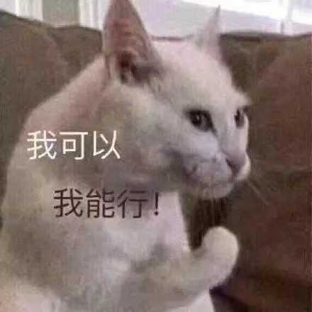 放前面比较容易找 快夸我贴心嘿嘿嘿(疯狂眼神暗示) 后面有渣女表情包