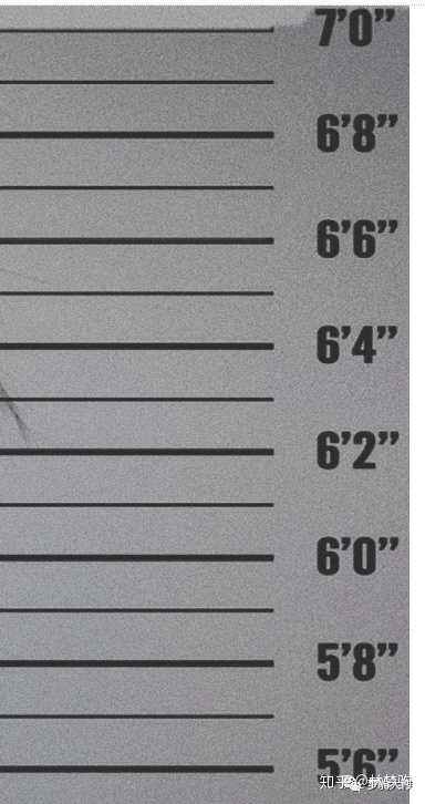 mugshot——模仿美国大片里罪犯进监狱站在身高标注墙前拍照