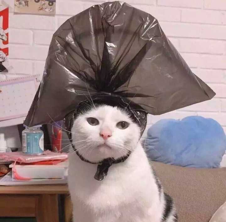 能给我一张沙雕头像吗?