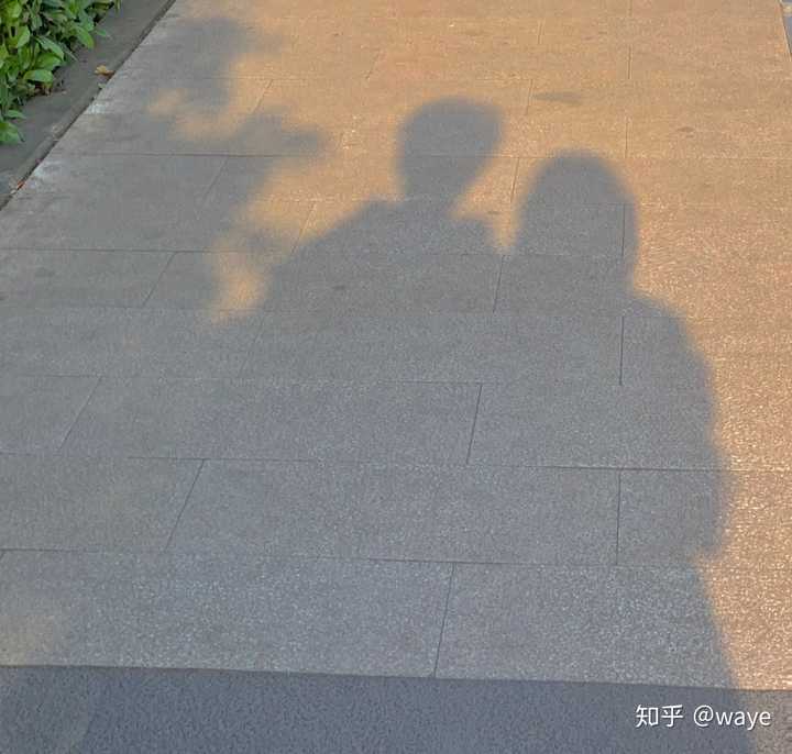 电鸟个灯泡长什么样?