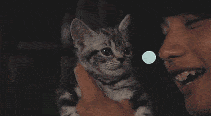 动物行为学家bradshaw在《sociality in cats: a comparative review