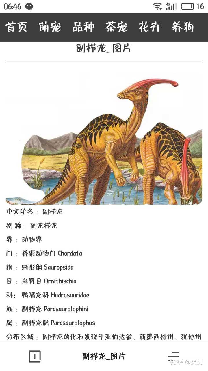 请问这是什么恐龙?
