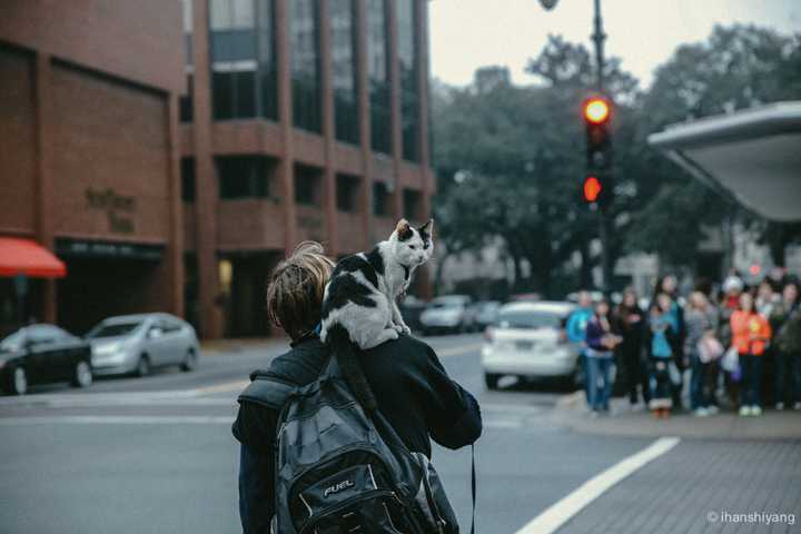 各位都拍过自己或别人的哪些好看的背影照?