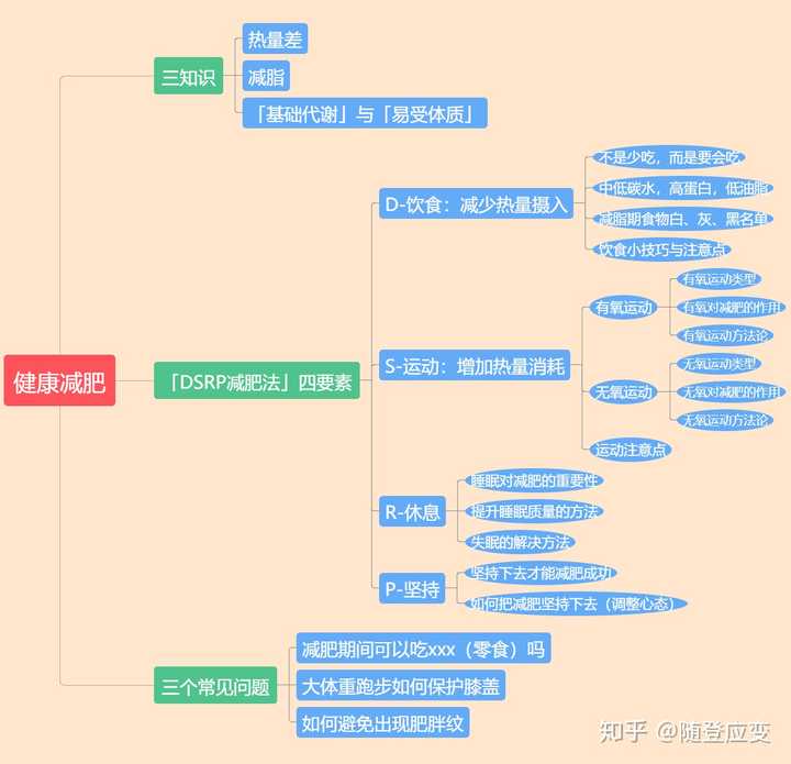 自制的健康减肥思维导图