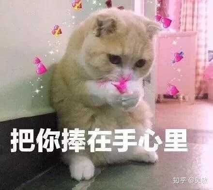 有哪些哄女朋友开心的表情包/小故事?