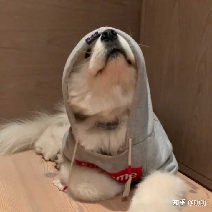 有哪些爸妈看着舒心还不失个性的微信头像?
