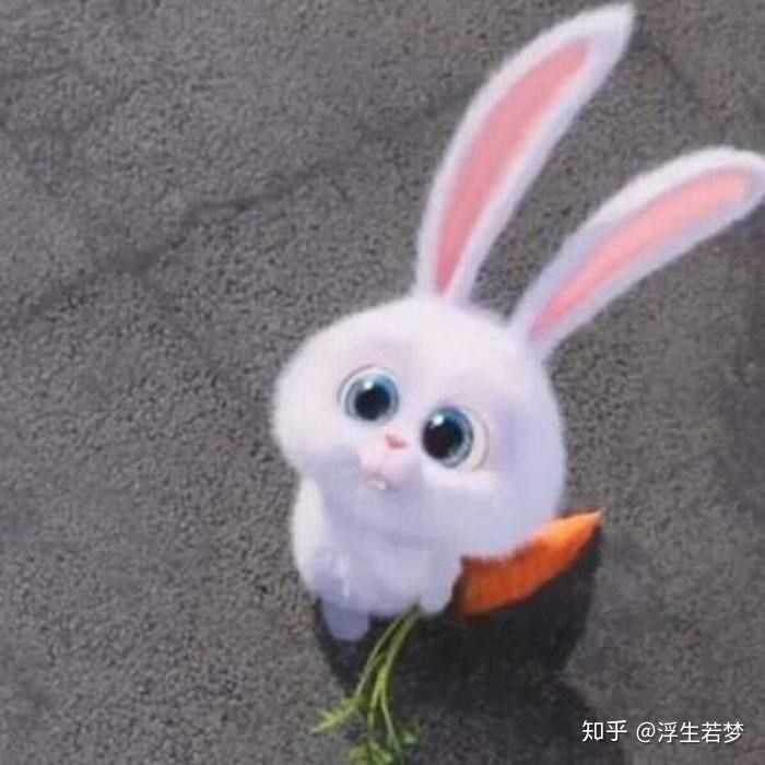兔兔那么可爱,你怎么可以吃兔兔!