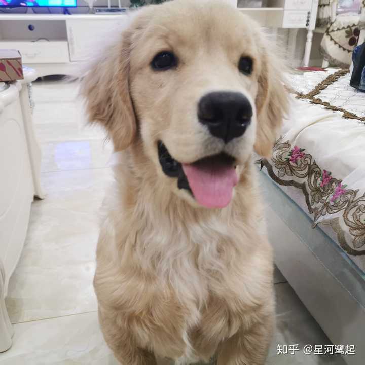 渴望的眼神.