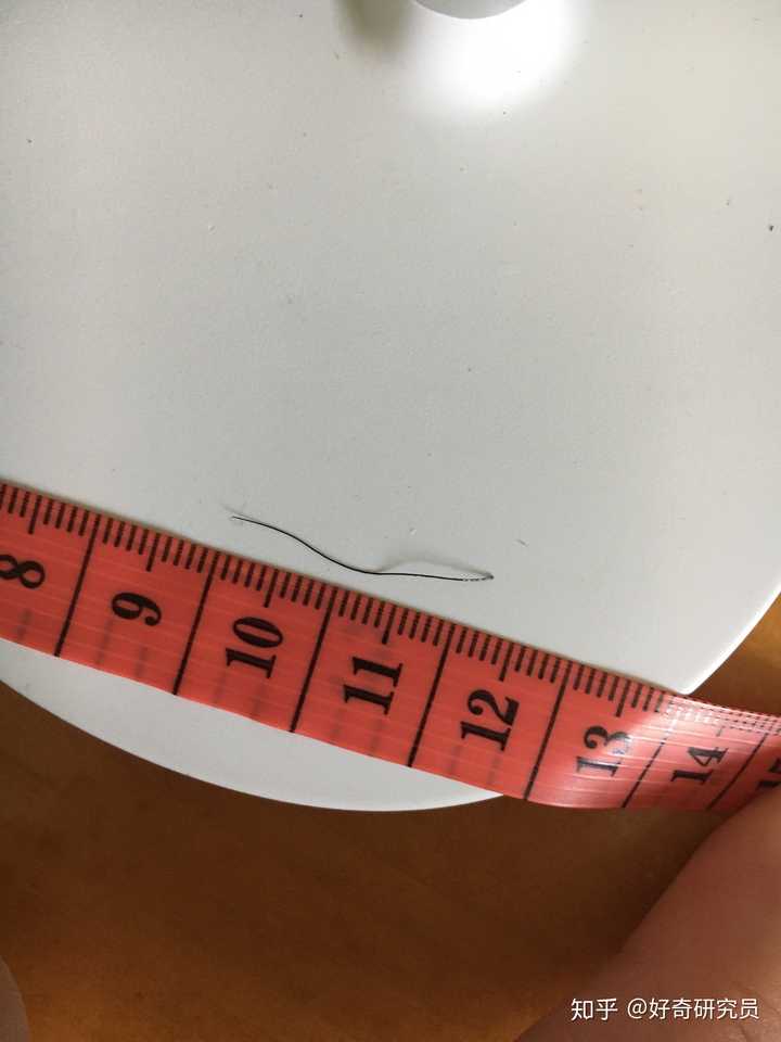 拉直了大概能用2.5cm……还挺有韧性