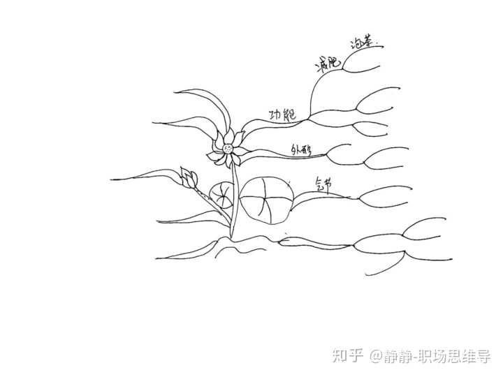 初中学习科学需要做思维导图吗?