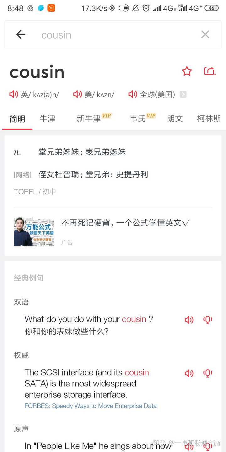 cousin在英文中是什么意思?