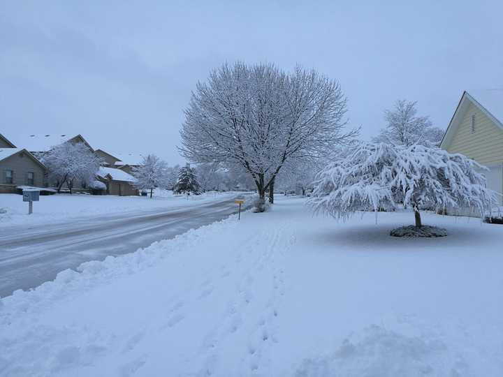 你的城市下雪了吗,可以用视频分享雪天可以做的有趣事情或者雪景吗?