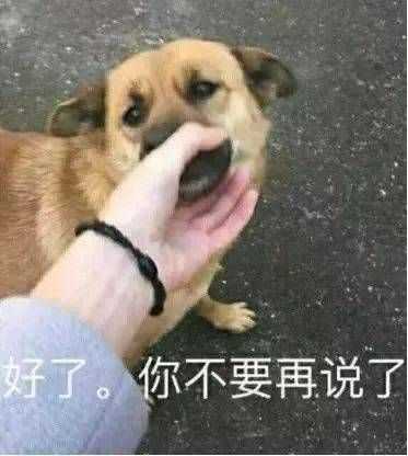 有没有一些骂人的表情包?