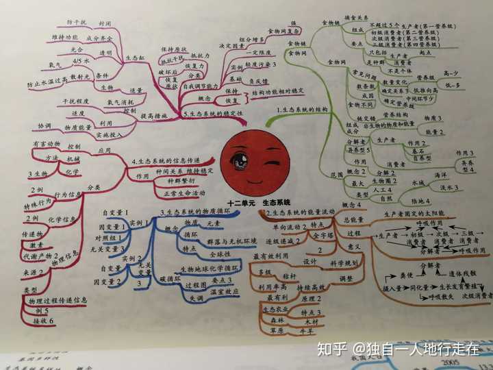 高中生如何利用思维导图学习