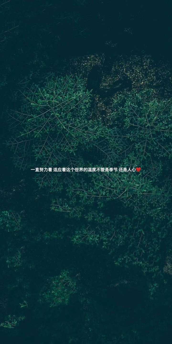 这张壁纸你说它励志不励志? . . .毕竟女朋友确实是让人成长的.