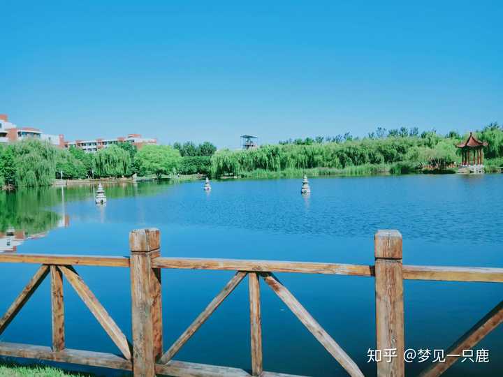 山东科技大学的景色到底有多美?