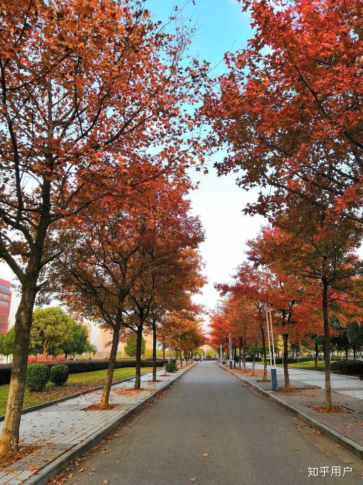 在江西科技师范大学上学是怎样的体验