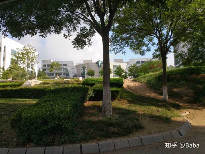 青岛大学金家岭校区怎么样?