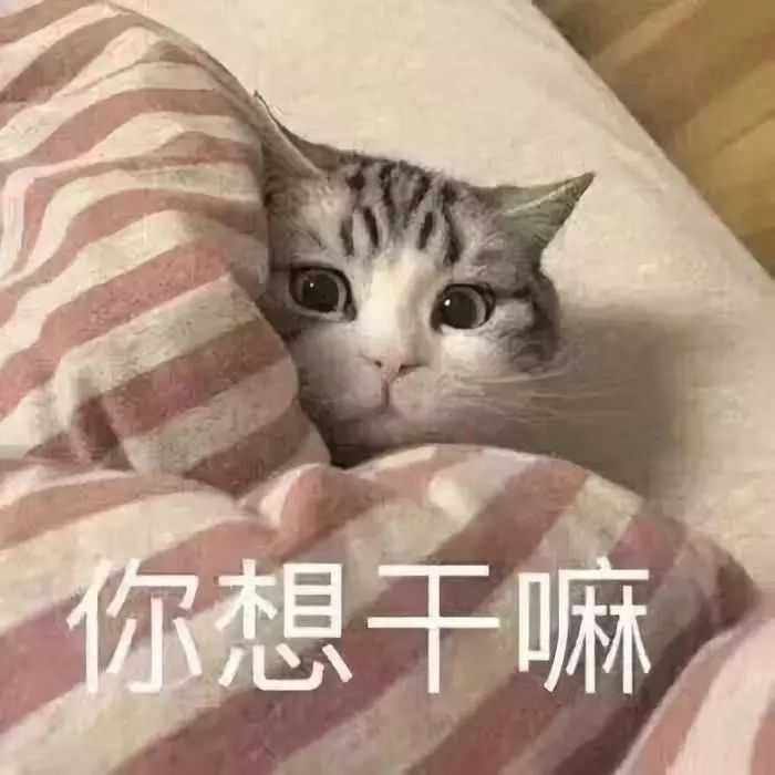 你有什么套路男朋友的表情包嘛?