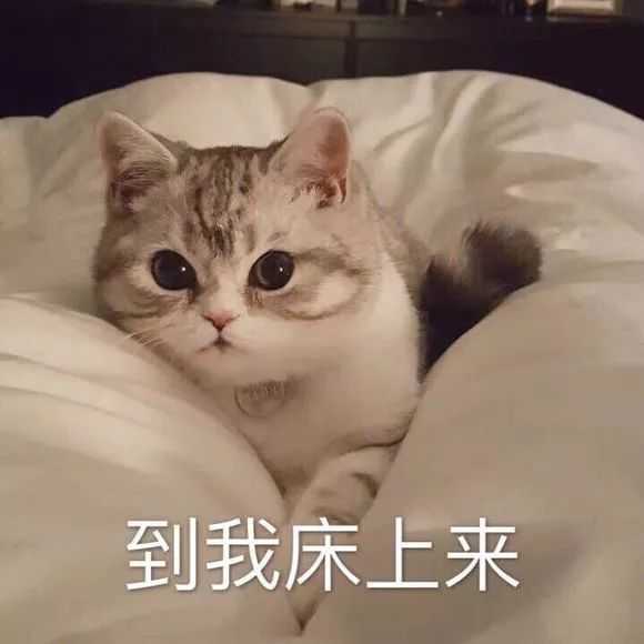有哪些适合情侣间聊天使用的表情包