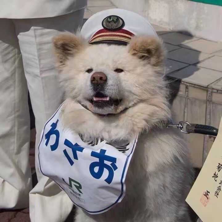 有什么特别沙雕的搞怪头像?